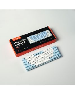 T62 Rgb Oyun Klavyesi Gaming Mekanik Klavye 62 Tuşlu Type-c Kablolu